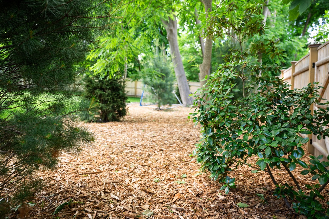 A serene garden path covered with wood chips, surrounded by lush greenery and a wooden fence, creating a peaceful, natural atmosphere.