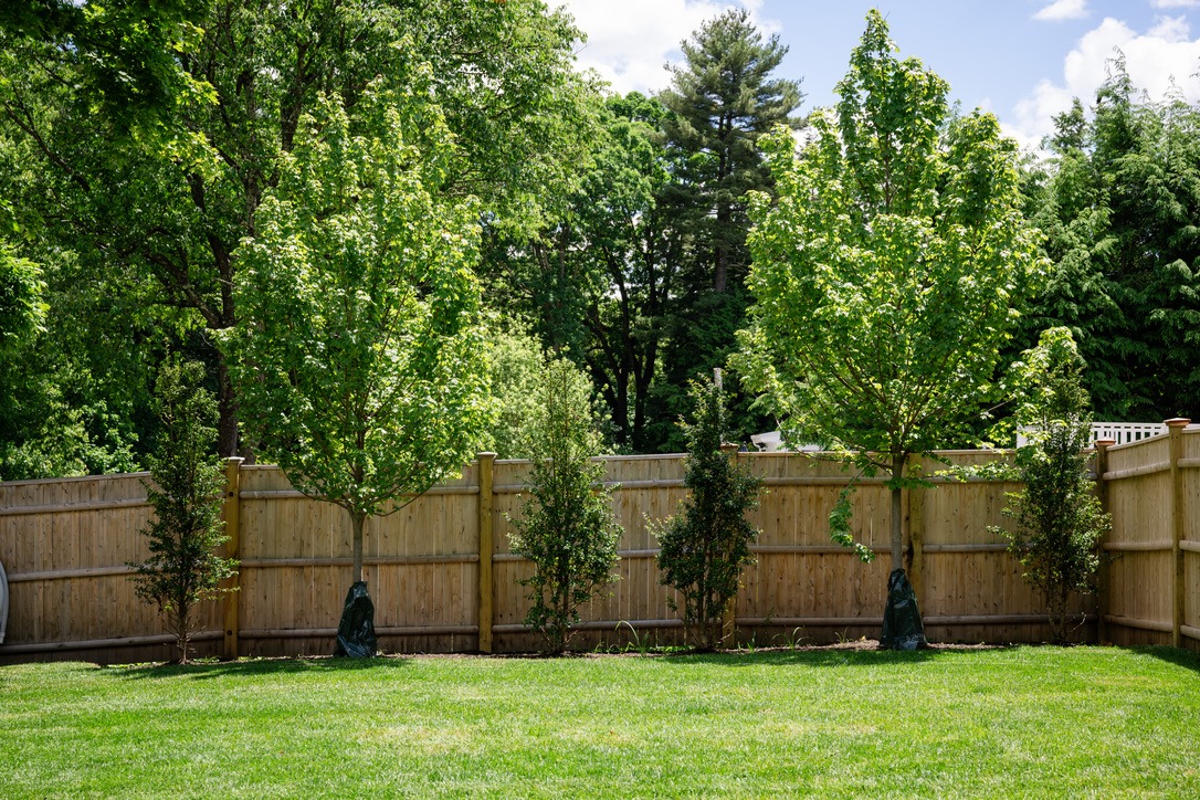 A fenced backyard with green grass, small trees, and lush surrounding forest under a bright, partly cloudy sky. Peaceful and natural setting.