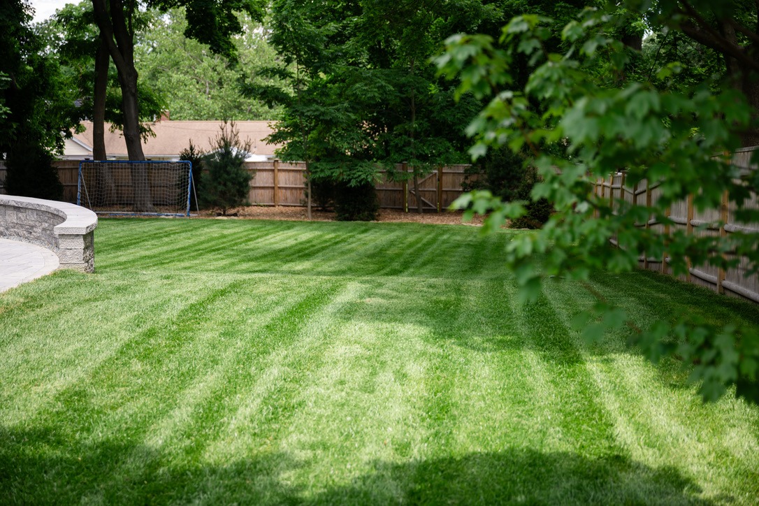 A lush green backyard lawn with a soccer goal, surrounded by trees and a wooden fence on a sunny day.