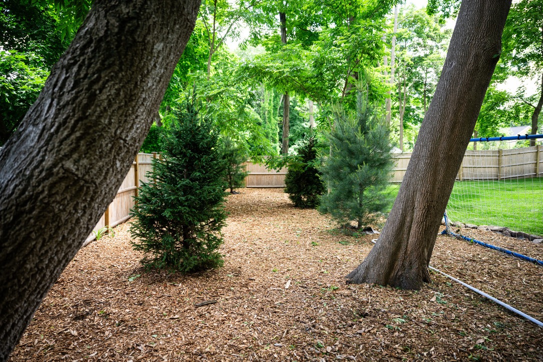 A backyard with wooden fencing, mulch-covered ground, trees, and a volleyball net in a lush, green environment.