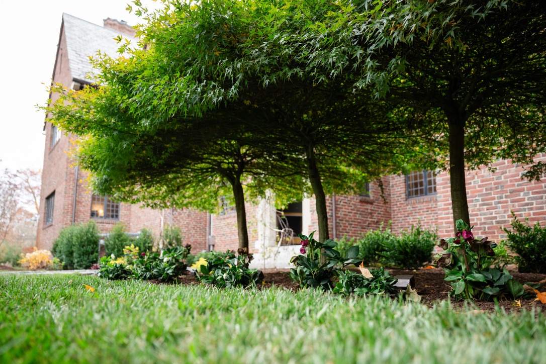 Lush garden with trees and flowers beside a brick building, creating a serene atmosphere with warm, earthy tones.