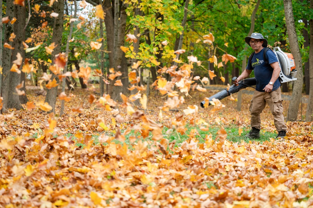 A person uses a leaf blower to clear fallen leaves in an autumn forest, surrounded by colorful foliage and trees.