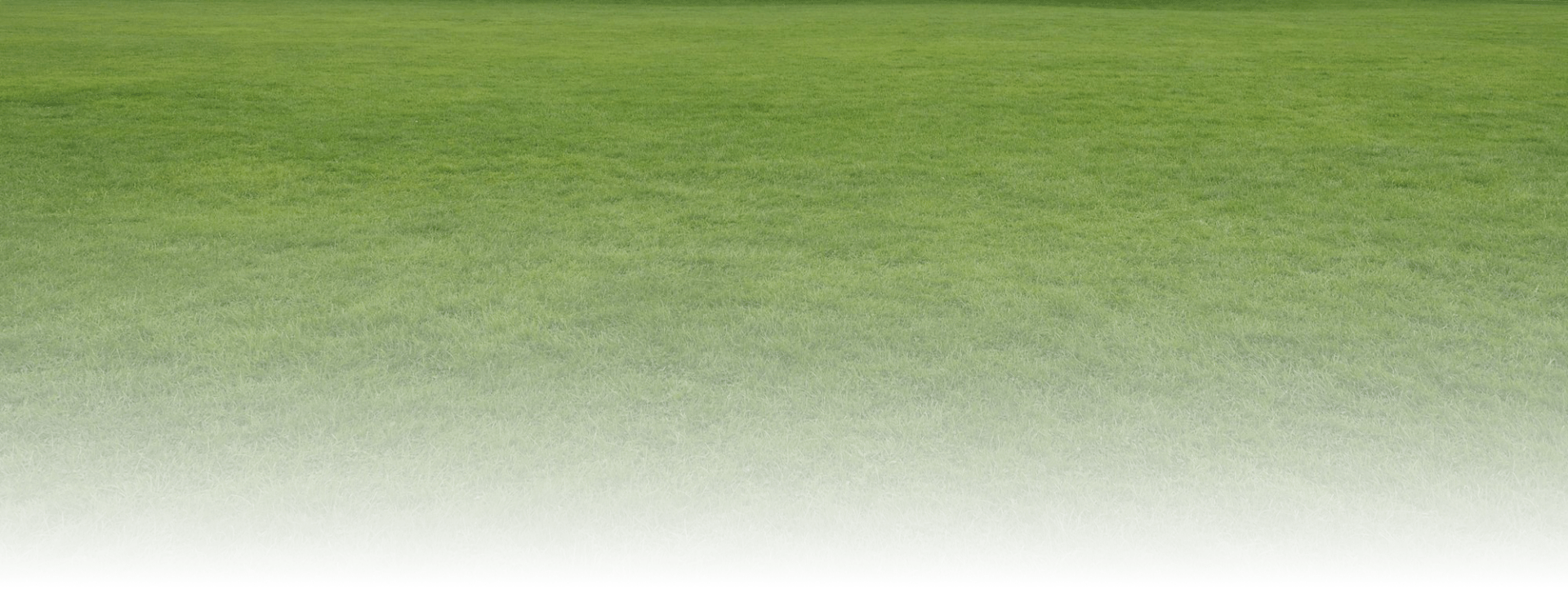 A large expanse of green grass, stretching into the distance under a clear sky, with no visible people or landmarks present.