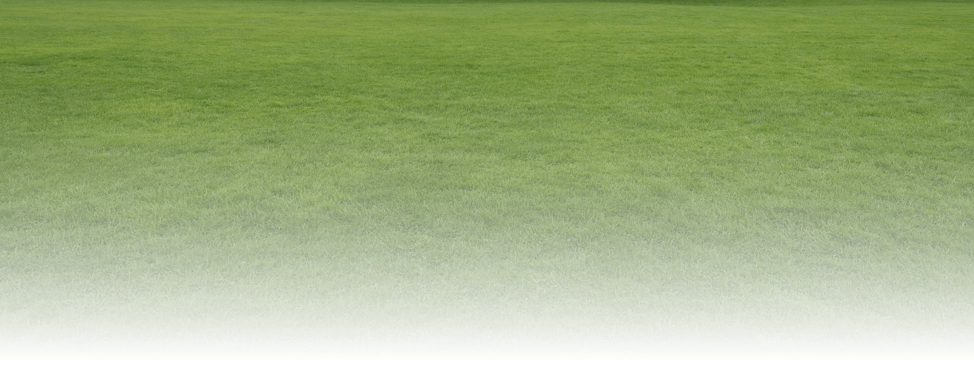 A large expanse of green grass, stretching into the distance under a clear sky, with no visible people or landmarks present.