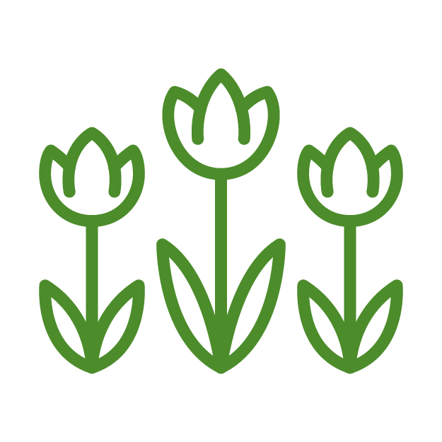 Three stylized green tulip icons arranged in a row against a transparent background. Simple and modern floral design.