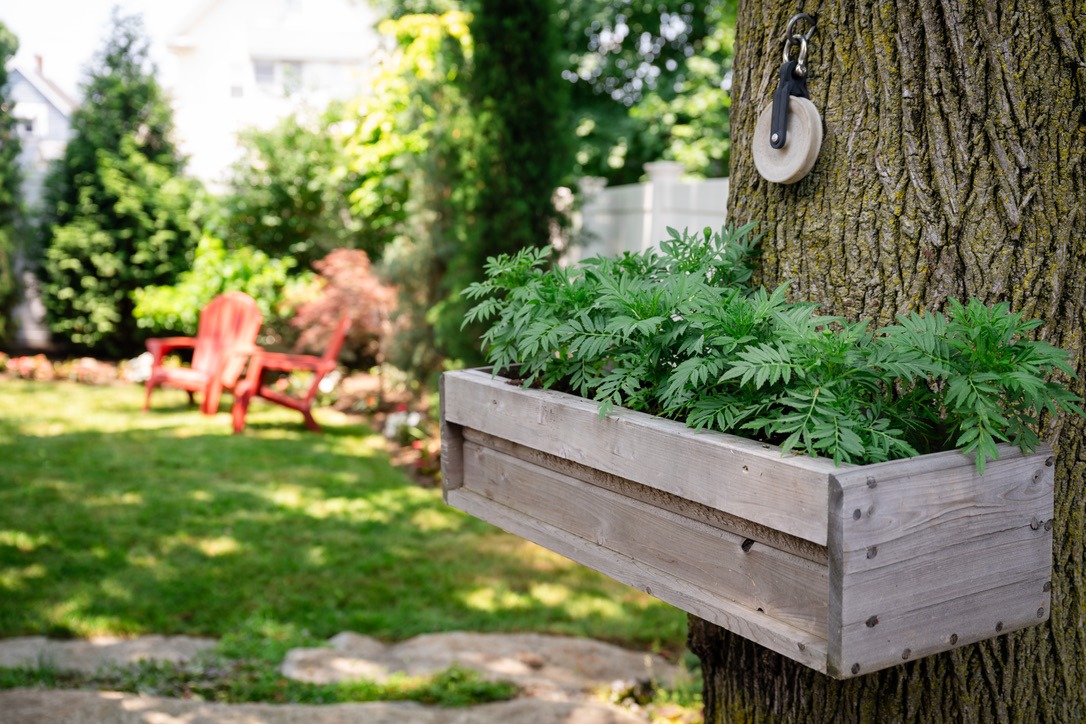 5857ED39-F98A-4902-8AD2-D6410993B47E_1_105_c